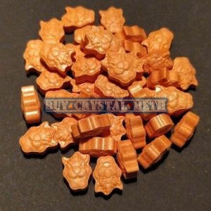 Buy Orange Browsers XTC