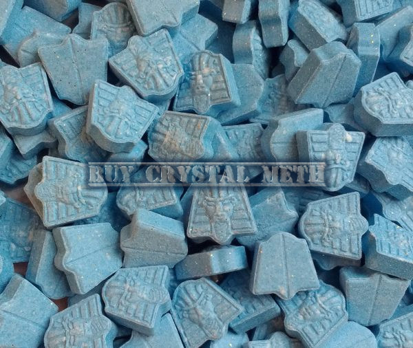 Buy Blue Pharaoh XTC