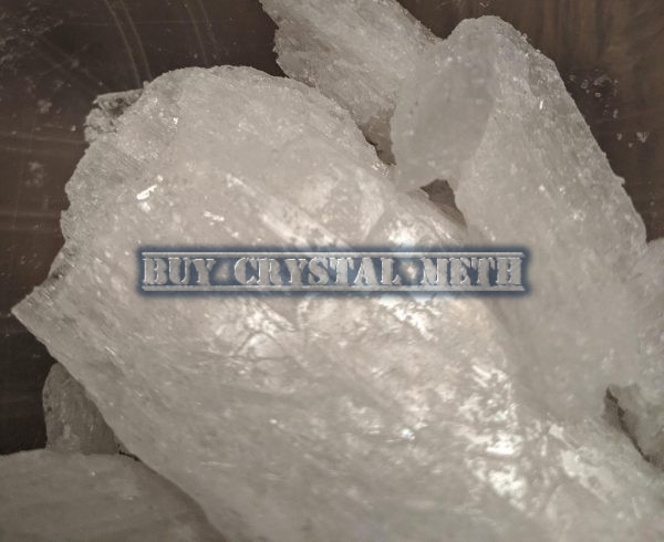 Cartel Traffic Crystal Meth